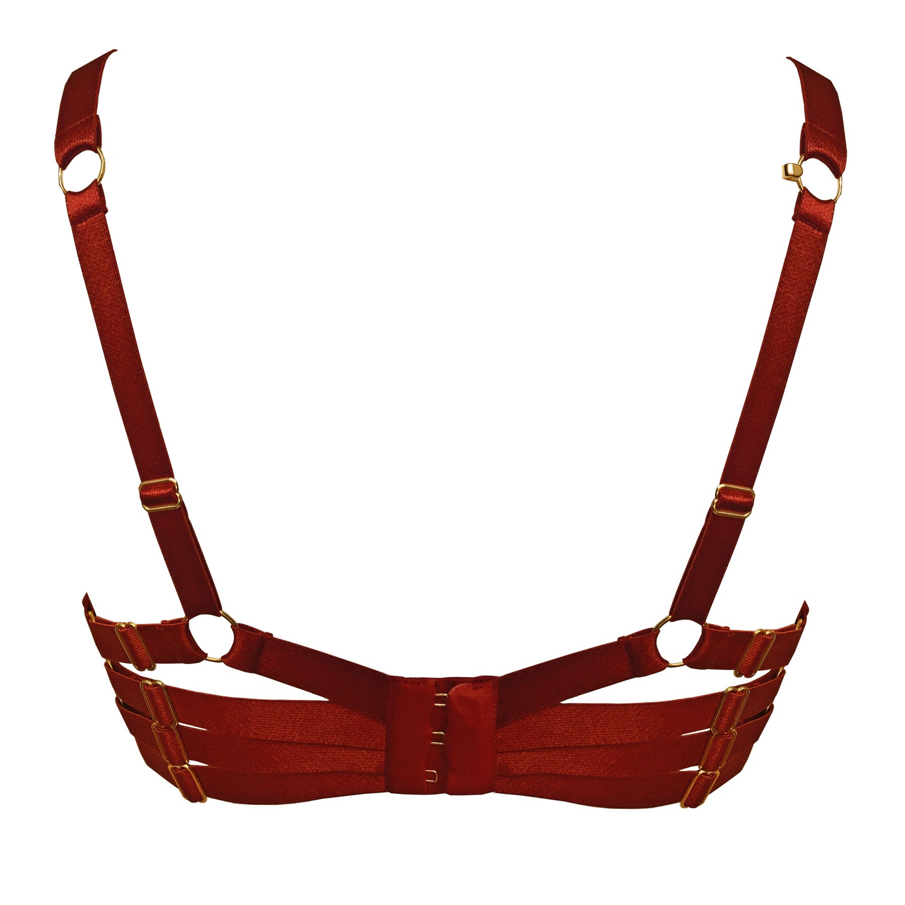 Bordelle silk push up bra in burnt red convertible strap back