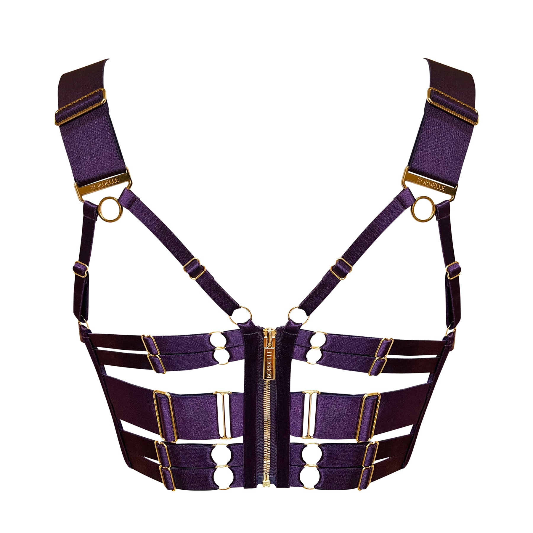 Retta panelled bodice bra - deep purple