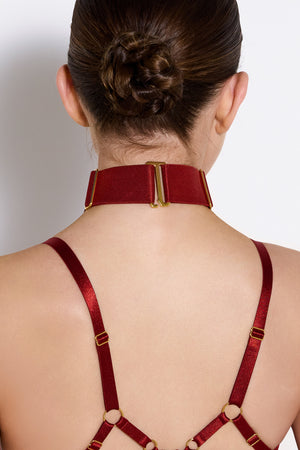 Signature wide strap collar - red