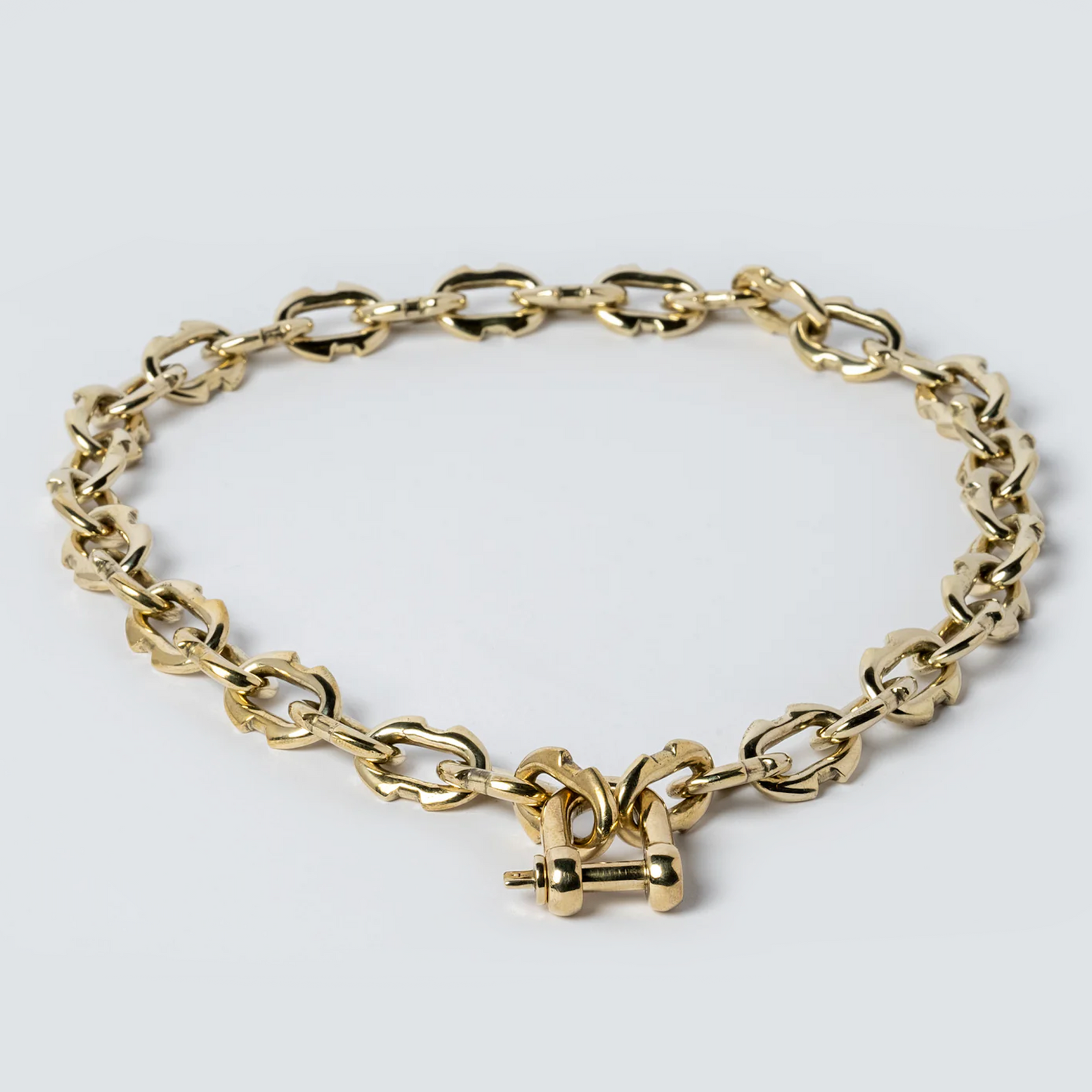 Charm Chain Necklace - polished brass