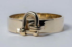 Restraint wrist cuff - polished brass