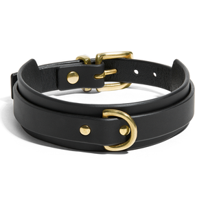 Fleet Ilya Wing leather collar black leather brass gold hardware